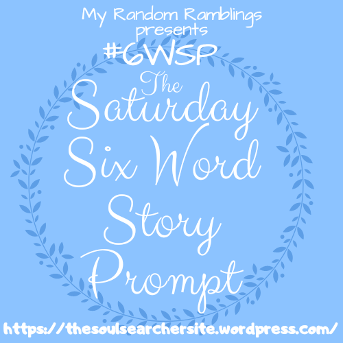 Saturday Six Word Story Prompt (6WSP) #118: 12.28.24