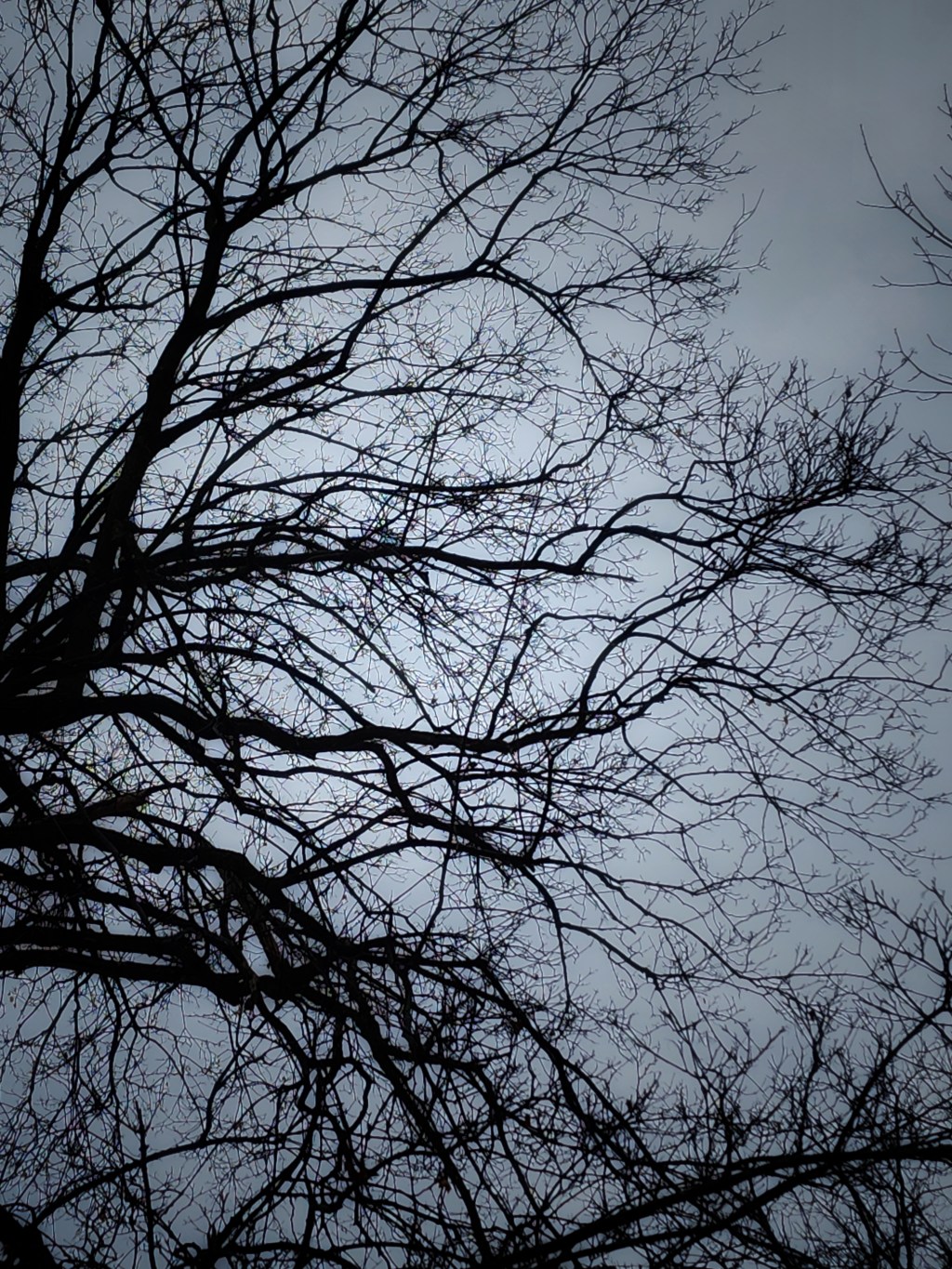 Cloudy Morning Winter Sky:&nbsp;2/27/25